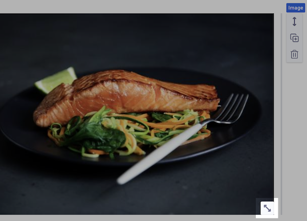 Screen Shot 2022-03-04 at 3-06-53 PM.png