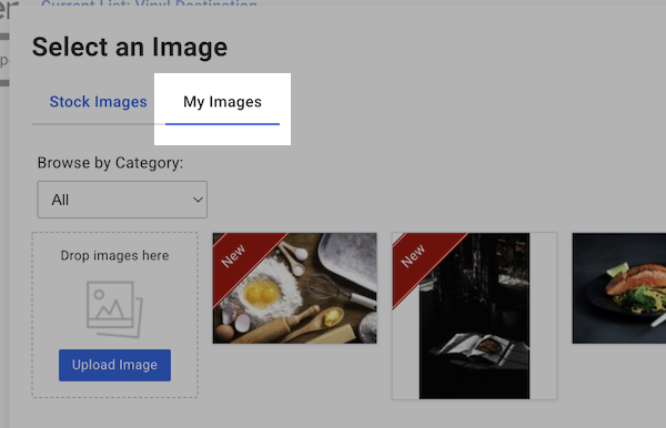 Screen Shot 2022-02-24 at 3-42-12 PM.png