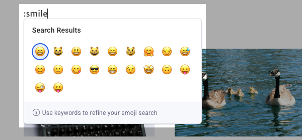 Screenshot 2024-08-30 at 2-23-50 PM.png