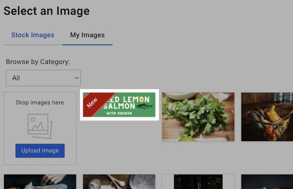 Screen Shot 2022-03-02 at 12-44-07 PM.png