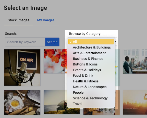 Screen Shot 2022-01-07 at 3-55-01 PM.png