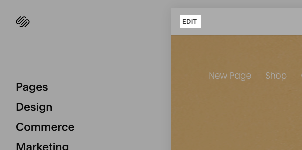 Screen Shot 2021-02-06 at 1-34-22 PM.png